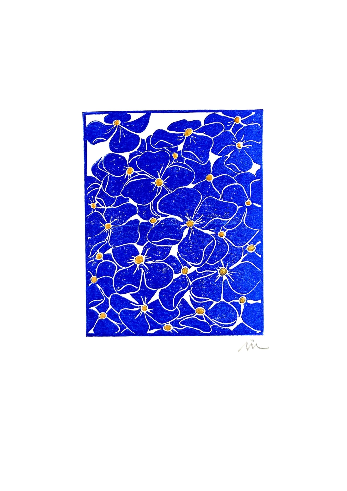 Hortensia