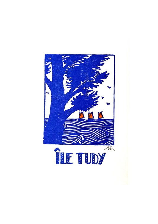 Île Tudy